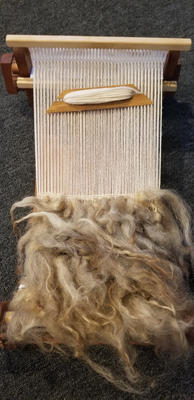 a photo of a wooden tabletop loom warped with off-white wool yarn. A portion of the warp has 
		been woven using the same yarn as the warp. Raw Icelandic wool locks have been incorporated in the exterior face of the weaving, creating 
		a kind of 'faux fur' pile. This type of weaving was common in Scandinavia during the middle ages.