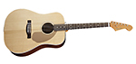 fender-acoustic-small