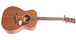 ibanez-acoustic-small