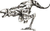 Ssithra.GIF (13012 bytes)