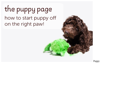 Screenshot of ~puppy