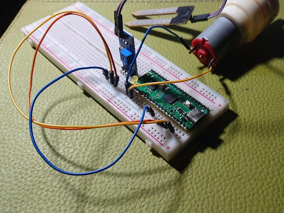 photo-1