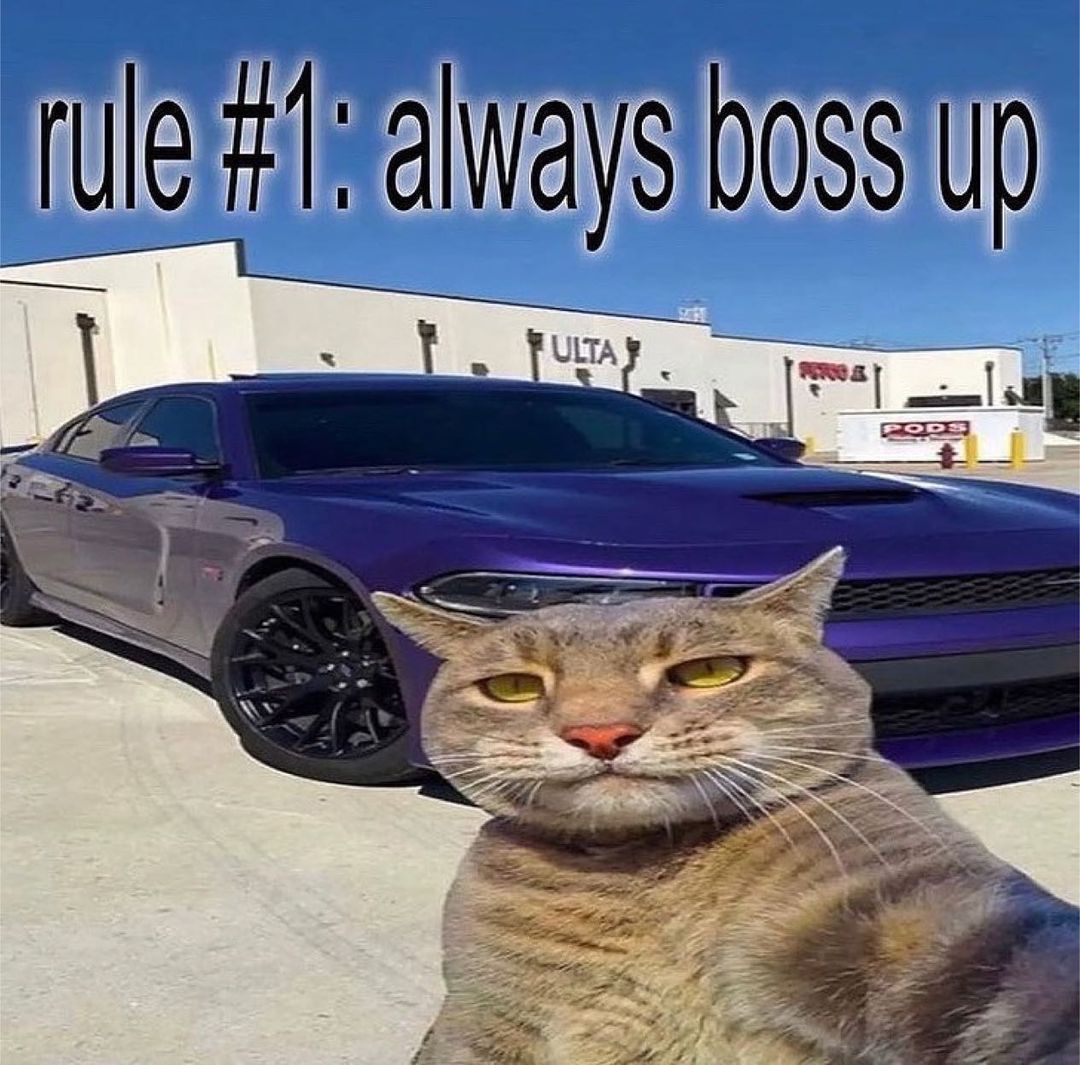 always boss up